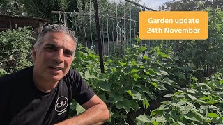 This weeks garden update  24th November [upl. by Madalyn]