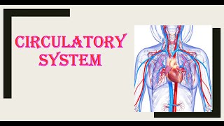 The Circulatory System  lecture 1 PROPERTIES OF BLOOD COMPOSITION OF BLOOD ERYTHROCYTES RBC’s [upl. by Ttenna]