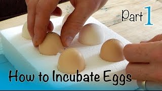 How to Incubate and Hatch Eggs  Part 1 of 3  Setting up the Incubator [upl. by Annim]