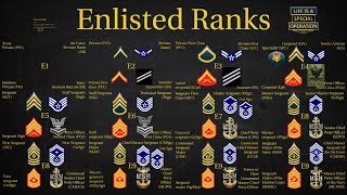 US Military All Branches ENLISTED Ranks Explained [upl. by Anhpad182]