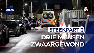 Steekpartij op straat in Honselersdijk [upl. by Terrance]