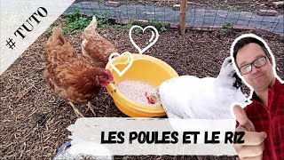 Les Poules et le Riz [upl. by Yeclek]