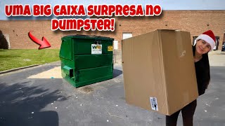 Uma big caixa surpresa no dumpster🇺🇸 [upl. by Richy913]