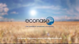 Econase XT  the hardest working xylanase [upl. by Janeva847]