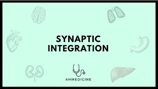 شرح Synaptic integration [upl. by Odette822]