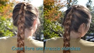 Come fare Treccia Olandese o Treccia francese rialzata  Tutorial treccia semplice [upl. by Lazar]