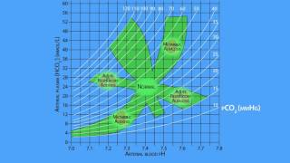 AcidBase Regulation The Davenport Diagram [upl. by Aerb]