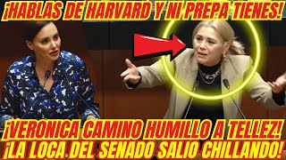 ¡BOFETADON QUE SE LLEVÓ LA LOCA DEL SENADO ¡VERONICA CAMINO LA HIZO TRIZAS [upl. by Gautea]