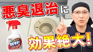 【完璧】お風呂の排水口の汚れ落としと消臭にカビキラーが最強すぎる！ [upl. by Assylem606]