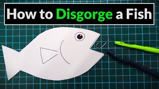 How to Use a Disgorger amp Unhook a Fish  Angling for Beginners [upl. by Chipman]