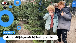 Dit weekend worden veel kerstbomen gekocht [upl. by Vihs35]