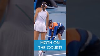 BALLKID v MOTH 😂 [upl. by Hera]