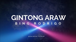 Gintong Araw  Bing Rodrigo  Karaoke [upl. by Ahsiekam]