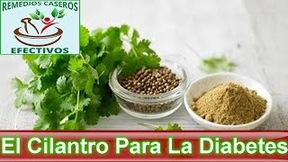 El Cilantro Para Tratar La Diabetes [upl. by Rothwell]