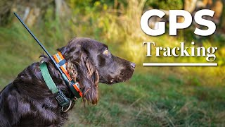 Jagd mit Hund  GPS Ortung mit Halsband von TRACKER waldvierteljagd [upl. by Yrreb]