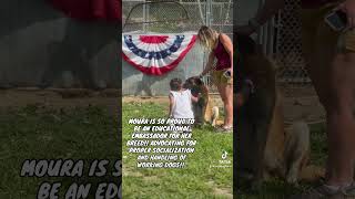 Estrela Mountain Dog at Open Farm Day in Maine [upl. by Genaro429]