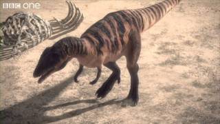 Carcharodontosaurus  Planet Dinosaur  Episode 1  BBC [upl. by Alehs]