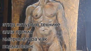 эскиз фигуры маслом в технике алла прима по рисунку один сеанс 4 часа [upl. by Aimee]