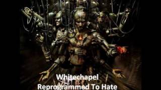 Whitechapel Reprogrammed To Hate Lyrics [upl. by Ahsinuq]