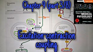 Excitationcontraction couplingheart chapter 9 part 3 guyton and hall physiology [upl. by Darees550]