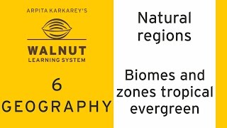 6 Geography  Natural regions  Biomes and zones tropical evergreen [upl. by Bridgette]