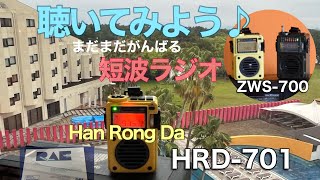 Han Rong Da HRD701 デジタル表示レビュー ZWS700とどう違う？あのRAEをストリーミングで♪（Bluetooth mode） [upl. by Nylirak]