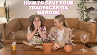 How to Fill Out a Leggy Tradescantia Nanouk  Easy Soil Propagation Tutorial [upl. by Mehelhteb]