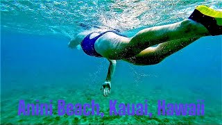 Snorkeling at Anini Beach Kauai Hawaii [upl. by Galatea142]