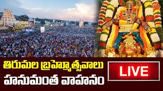 Tirumala Srivari Brahmotsavam 2023  Day 6  Hanumantha Vahanam LIVE  BhaktiOne [upl. by Adigun409]