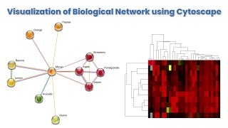 Visualization of Biological Network using Cytoscape [upl. by Tristis]