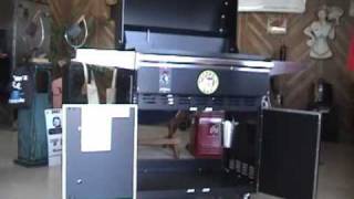 BadBobs Traeger BBQ 300 Wood Pellet Smoker Review [upl. by Tildy]