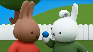 School Sports Day  Miffy  New Series  Miffys Adventures Big amp Small [upl. by Alburga]