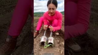 Satisfying Seedlings Planting Tools for Rural Farmer  Helpful Agricultural Tools shorts ytshorts [upl. by Vanthe]