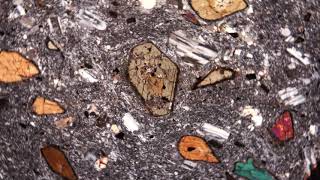 Hornblende Andesite Thin Section [upl. by Killian833]