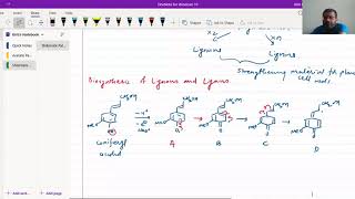 Biosynthesis of Lignins And Lignans [upl. by Grimaud]