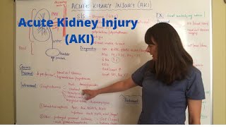 Acute Kidney Injury AKI [upl. by Ekusoyr]