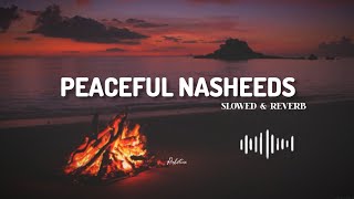 quot4 soul healing Nasheedsquot By Muhammad Al Muqit  Spedup Slowed amp reverb  Arabic Nasheeds no music [upl. by Onek]