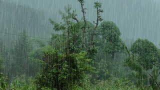 Relaxing Forest Rain Sounds For Sleeping Study Meditation  10 Hours Of Rain Sounds [upl. by Ayram]