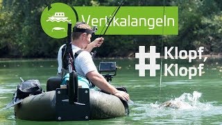 Klopfen auf Wels mit Würmern Muscheln und Co  wwwzeckfishingcom [upl. by Asum]