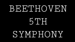 Beethoven 5th Symphony [upl. by Aiker]