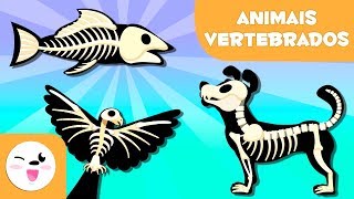 ANIMAIS VERTEBRADOS para crianças  Mamíferos aves répteis peixes e anfíbios [upl. by Eedia]