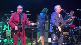 Squeeze Live 2019 Pulling Mussels from the Shell [upl. by Tori775]