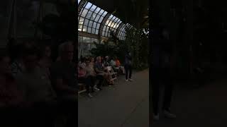 Larry Taylor “Matchbox” at Garfield Park Conservatory [upl. by Selyn]