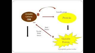 Bradford Assay States and Principle UrduHindi [upl. by Annij]