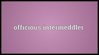 Officious intermeddler Meaning [upl. by Nipsirc]