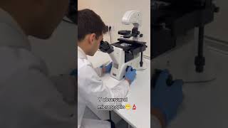 Observación de Espermatozoides en el microscopio [upl. by Klarrisa237]