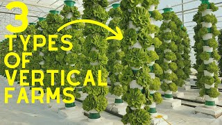 Vertical Farming 2024  3 Different Types Of Vertical Farms [upl. by Aciraa]