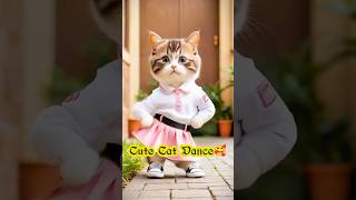 Cat Funny DanceSubscribe plz🥰🧸💚shorts cat catvideos pets [upl. by Kimmi]