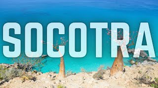 WHY YOU NEED TO VISIT SOCOTRA  YEMEN [upl. by Janet]