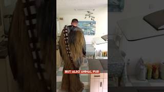 What Is Chewbacca’s Costume Made Of The Surprising Truth 🌌🧔‍♂️ [upl. by Lewison]